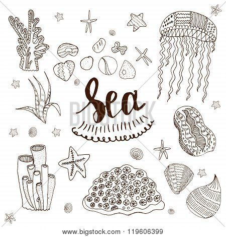 Sea Elements