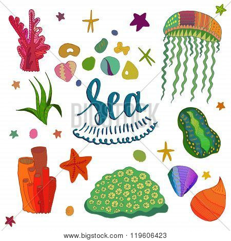 Colored Sea Elements