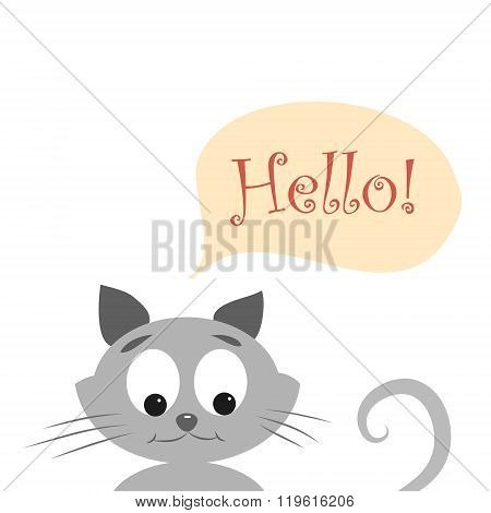 cat with HELLO