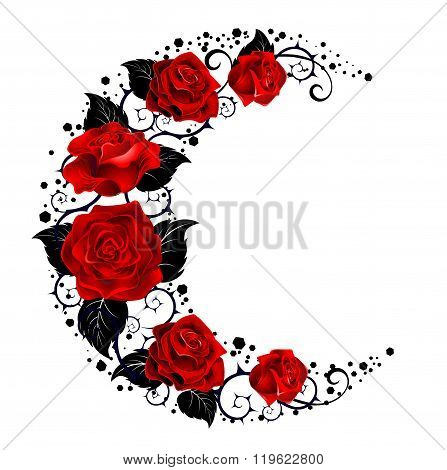 The Moon Of Red Roses