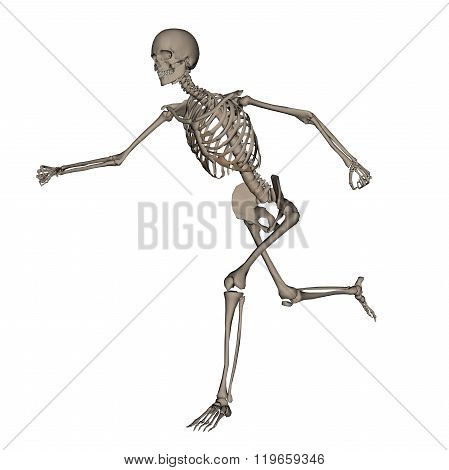 Human skeleton running- 3D render