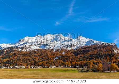 Golden Autumn In Engadin