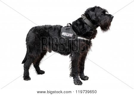 Policedog K9