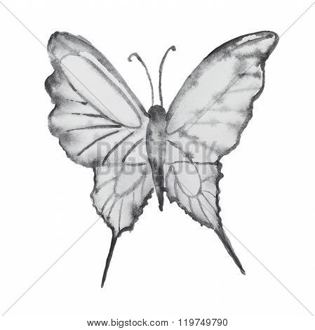 Watercolor butterfly on white