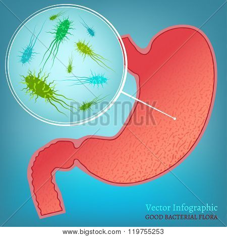 Vector Bacteria Flora