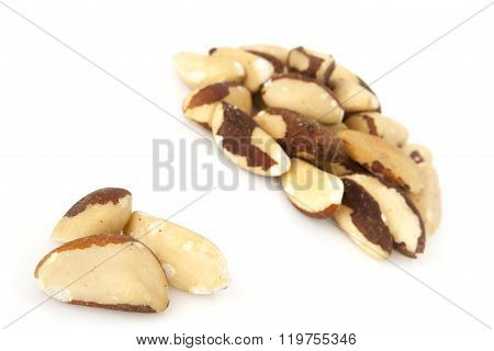 Brazil nut on a white background (Bertholletia excelsa), blanched close up isolated on the white bac