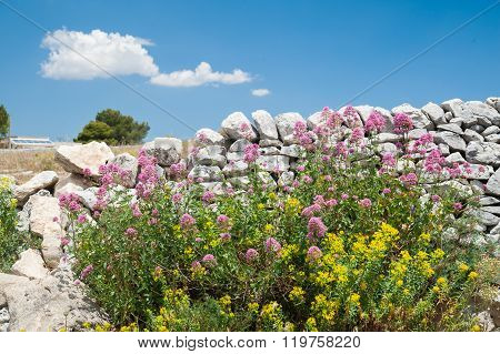 Dry Stone Wall
