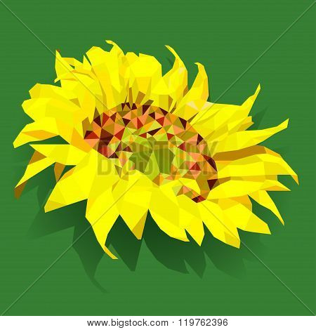 Yellow Sunflowers .polygonal Illustration