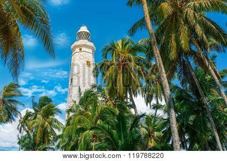 Sri Lanka, Lighthouse Dondra Head
