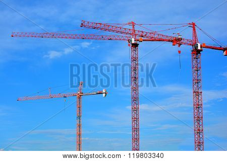 Three Fixed Construction Sky Cranes