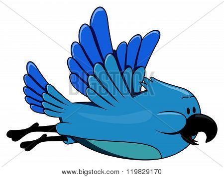 Funny bird flying