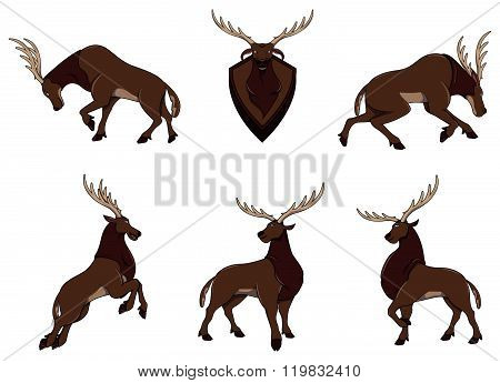 Deer Character set collection