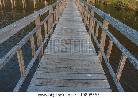 Wooden Bridge In Lotus Lake