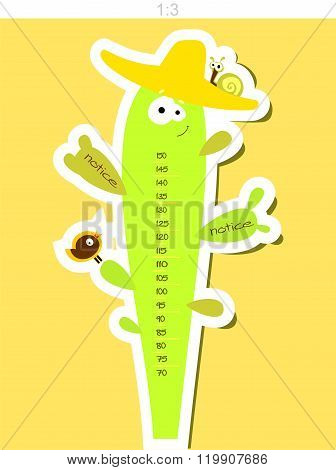 Funny Cactus. Height Measure