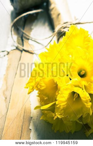 Yellow Daffodil Flowers