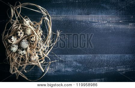 Quail Eggs In The Nest