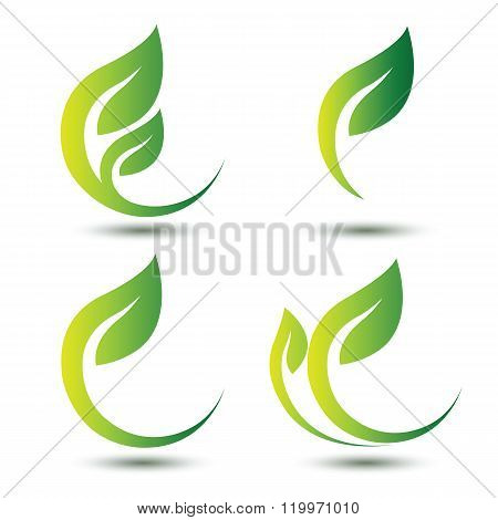 Green Leaf