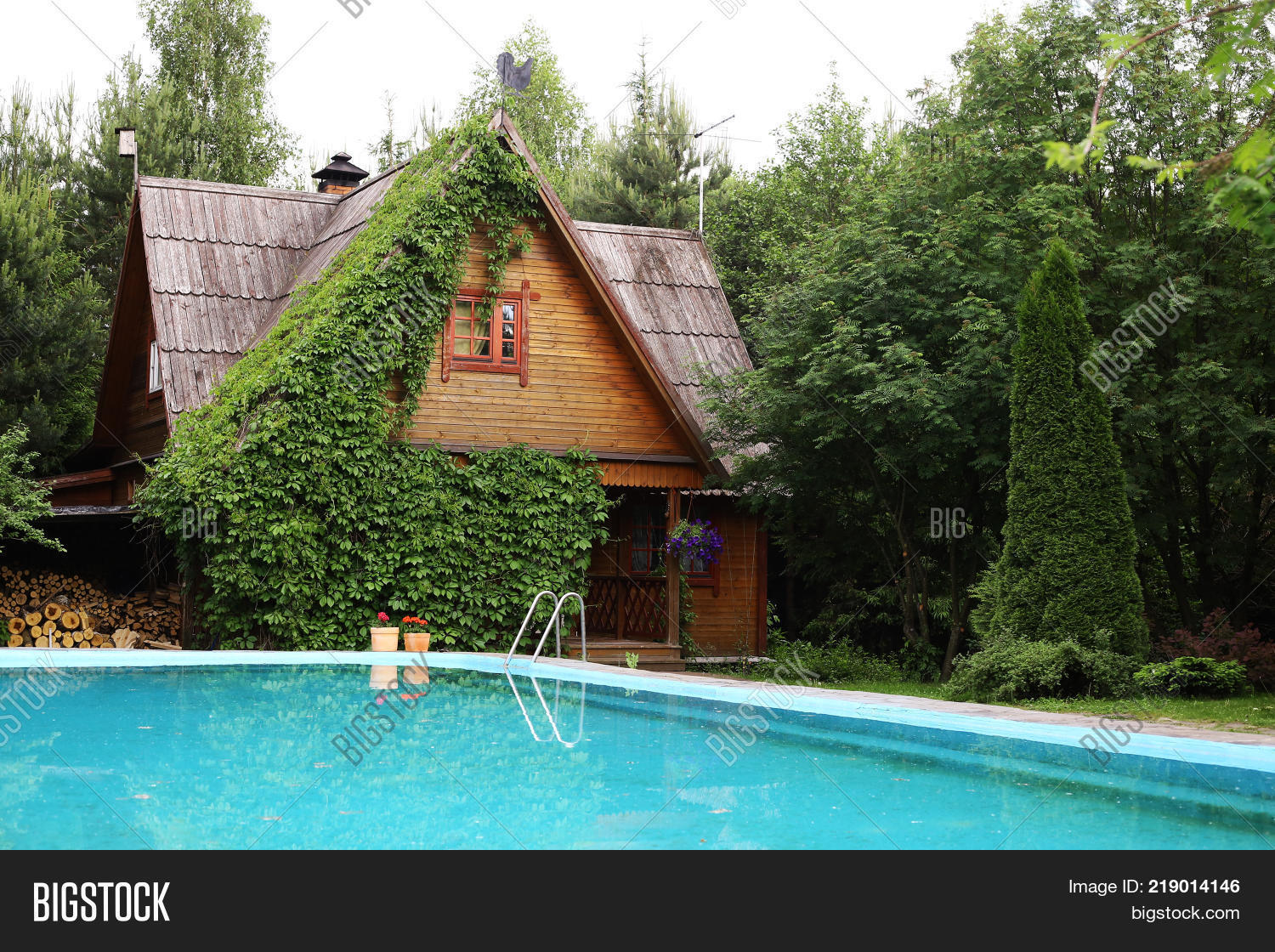 Pot Plants On Bank Image Photo Free Trial Stock Pot Plants On The Bank Of Swimming Pool