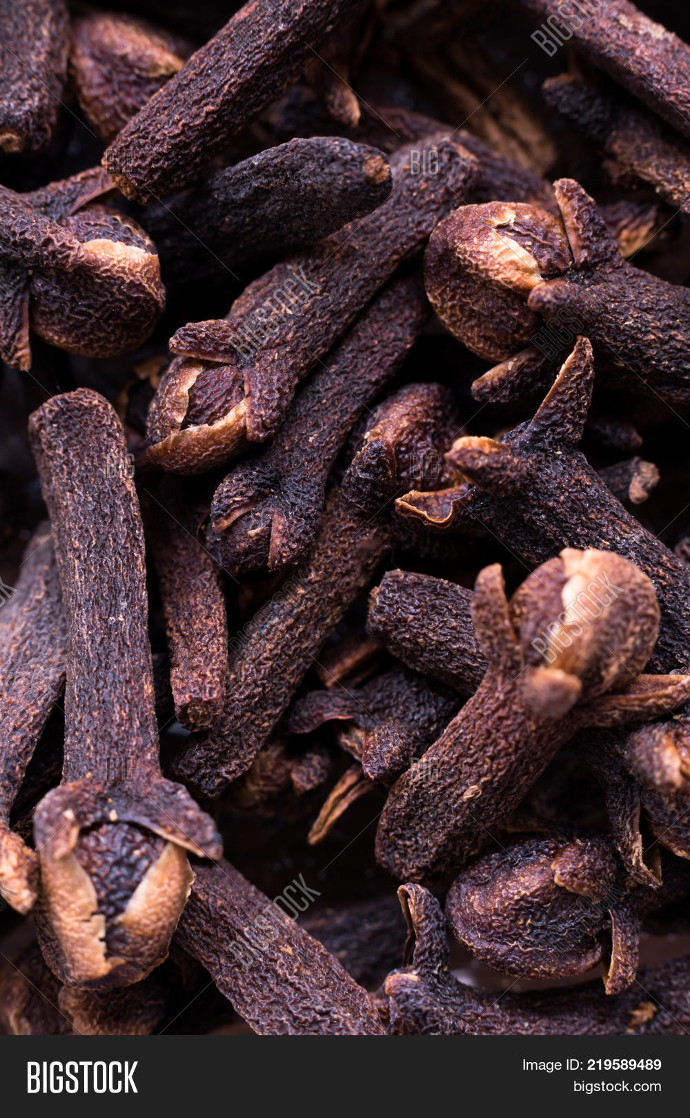 Macro Photo Clove Image & Photo (Free Trial) Bigstock