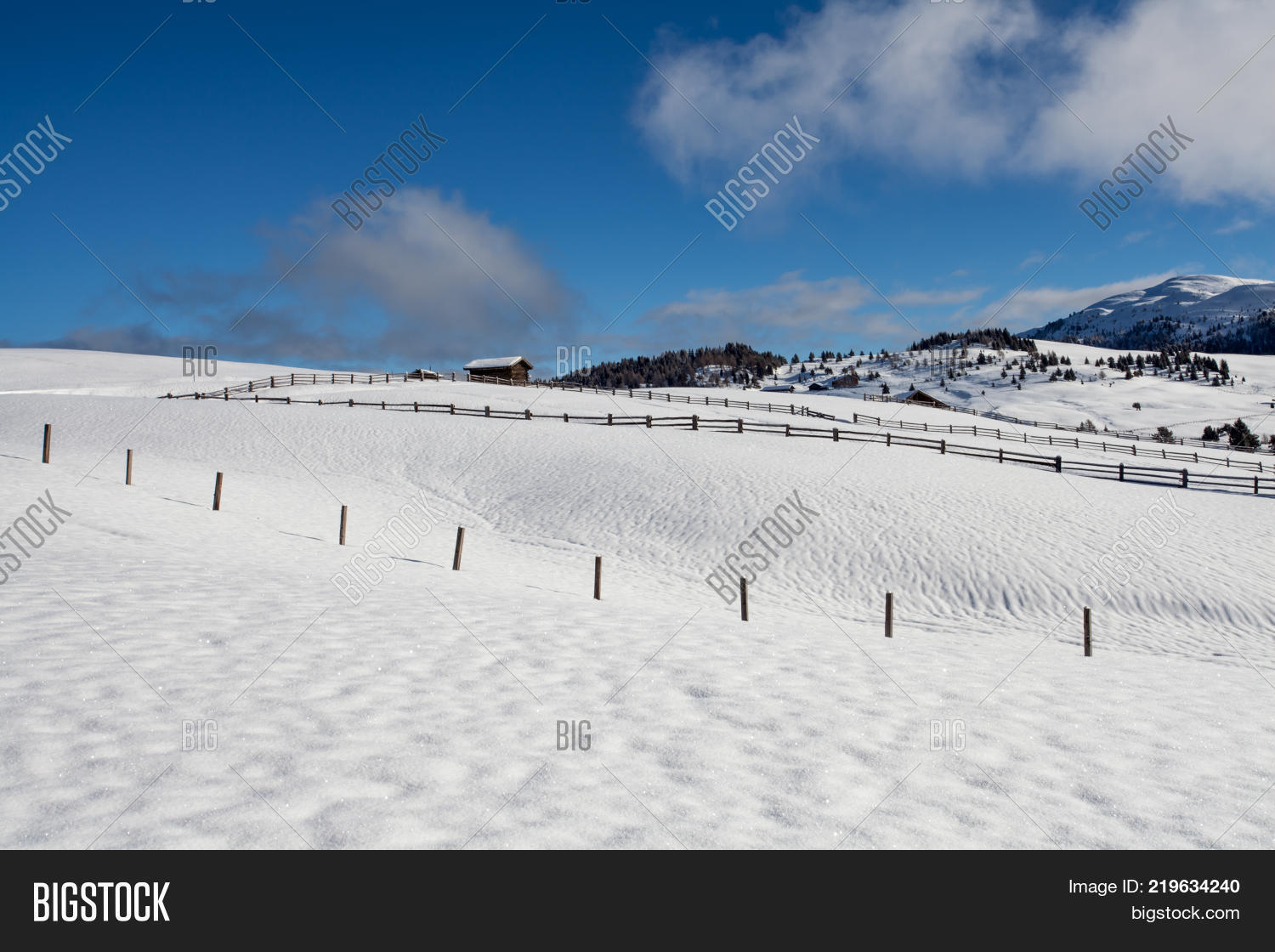  Bigstock Illustration 