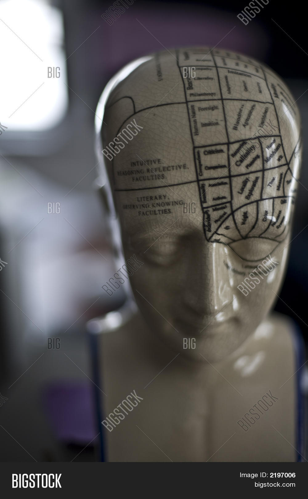 Human Brain Statue Image & Photo (Free Trial) Bigstock