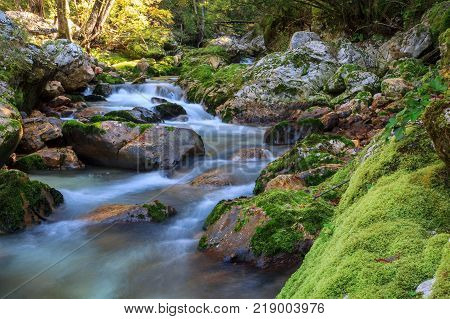 Mountain stream in the Lepena valley in Slovenia