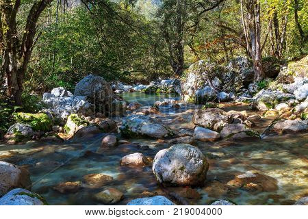 Mountain stream in the Lepena valley in Slovenia