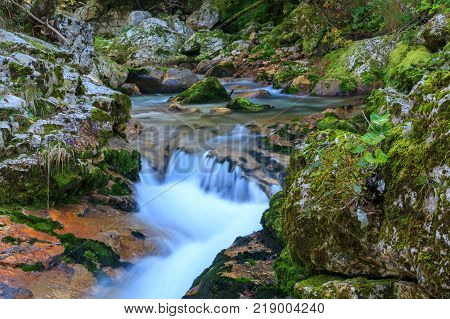 Mountain stream in the Lepena valley in Slovenia