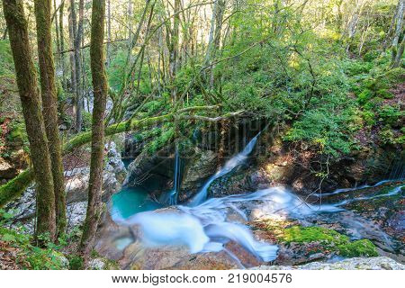 Mountain stream in the Lepena valley in Slovenia