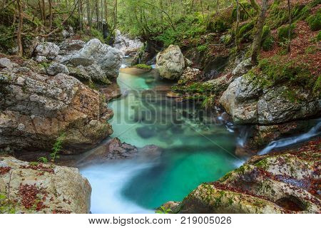 Mountain stream in the Lepena valley in Slovenia