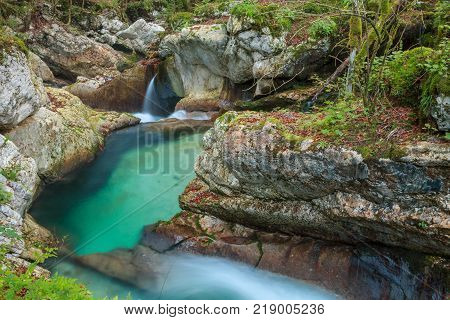 Mountain stream in the Lepena valley in Slovenia