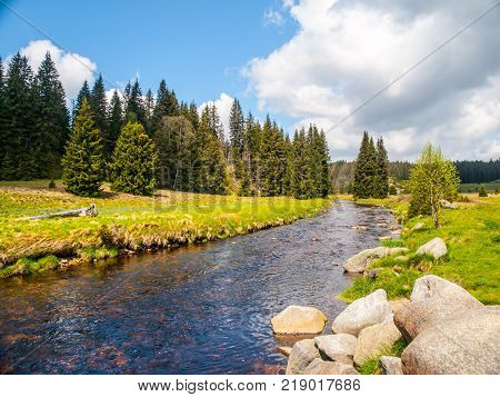 Idyllic landscape with calm mountain river on sunny day. White stones and green meadows and trees. Sumava National Park, Bohemian Forest, Czech Republic.