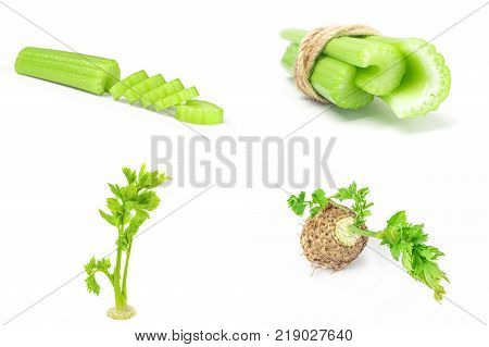 Set of celeriac isolated on a white background