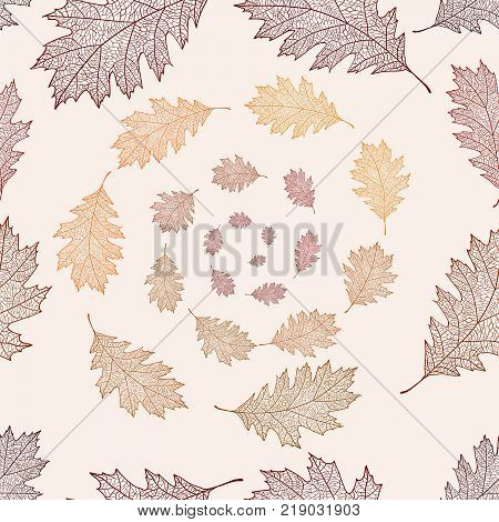 Seamless pattern from the leaves of red oak arranged in a helix (Quercus rubra)