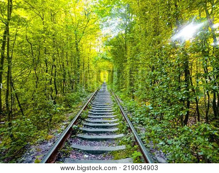 Love Tunnel
