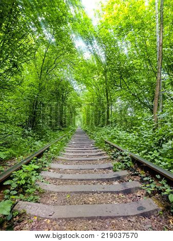 Love Tunnel
