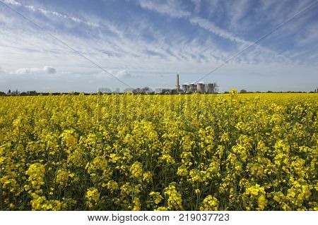 Eggborough Power Station With Field Of Rape Seed Yorkshire England