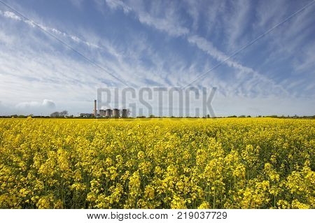 Eggborough Power Station With Field Of Rape Seed Yorkshire England