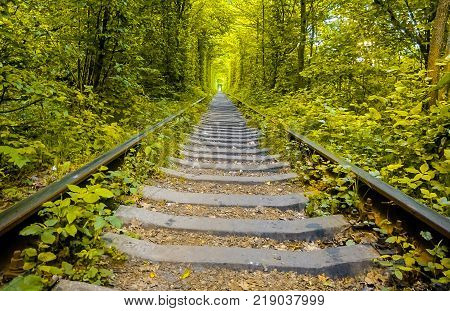 Love Tunnel