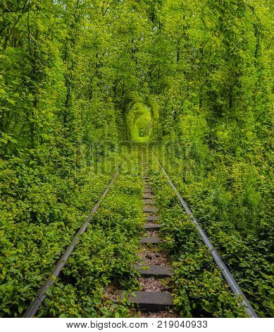Love Tunnel