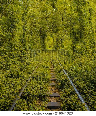 Love Tunnel