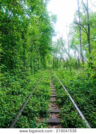 Love Tunnel