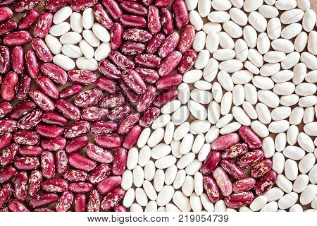 Yin Yan symbol of grain beans haricot red white on paper vegan concept background macro closeup