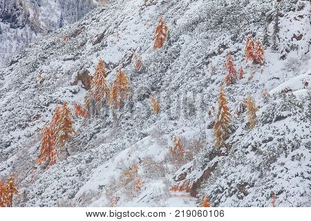 Mountain near Campitello di fassa Dolomites Alps Italy