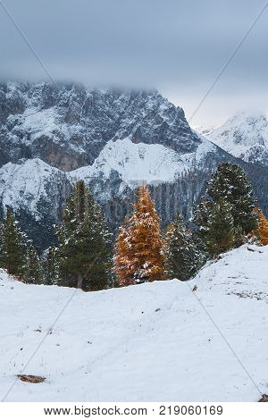 Mountain near Campitello di fassa Dolomites Alps Italy