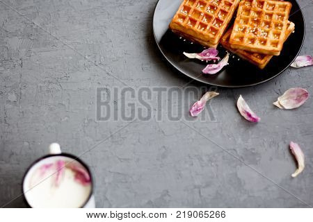 Traditional Belgian waffles with tulip petals and honey on concrete background
