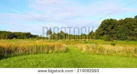 Hiking trail through the prairie at Shabbona Lake State Park Illinois