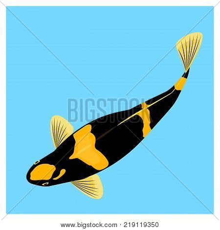 Vector iflat llustration with koi fish. Cute koi in water. Vector illustration of traditional sacred Japanese Koi carp fish.