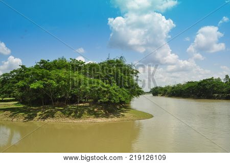 Summer landscape with trees lake and blue sky