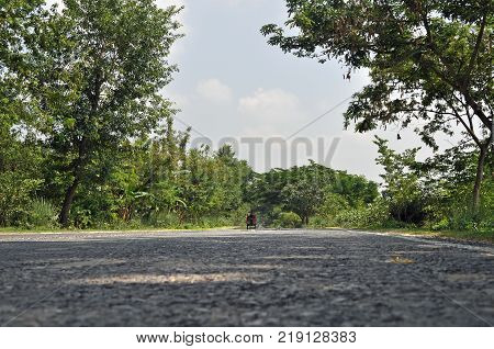 Asphalt road closeup with blue sky trees & focus on foreground.